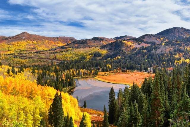 Vibrant autumn landscape with a lake, mountains, and trees in shades of yellow and green under a blue sky. 