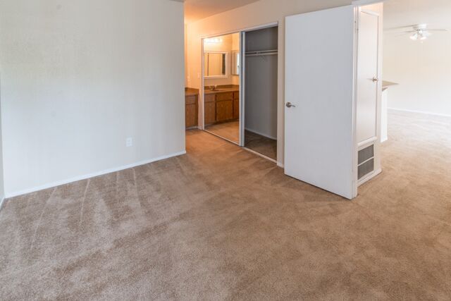 Empty room with beige carpet, open closet, and doorway to bathroom.