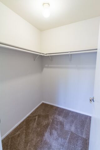 Empty walk-in closet with tan carpet, white walls, and a ceiling light. Open door on the right.
