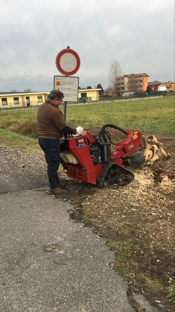 eliminazione ceppaia