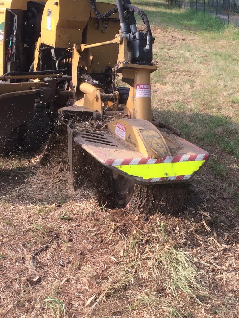 intervento per eliminazione ceppaia