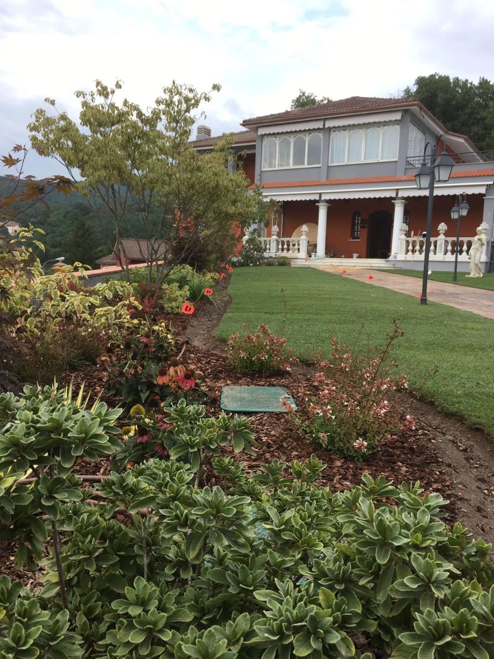 angolo giardino con numerose varietà di piante