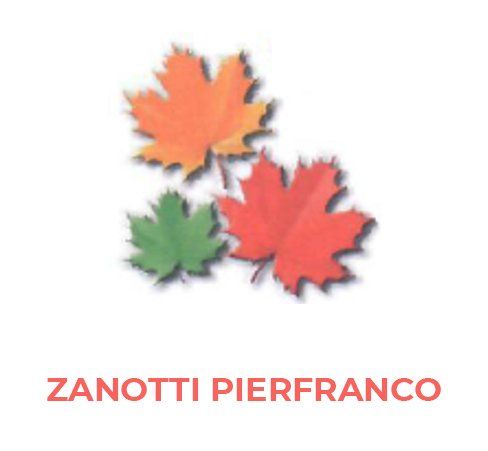 ZANOTTI PIERFRANCO - LOGO