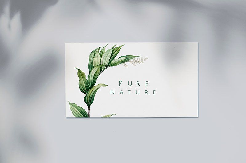 Business Cards