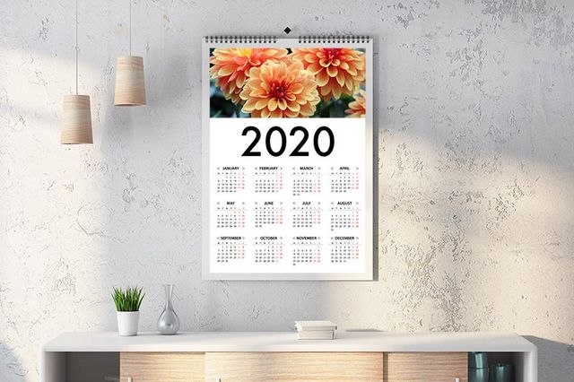 Free Printable: 2023 Calendar in Succulent Theme - Succulents Box