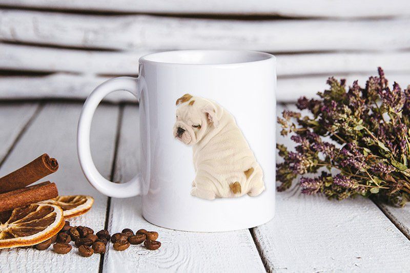 Personalized Photo Gift