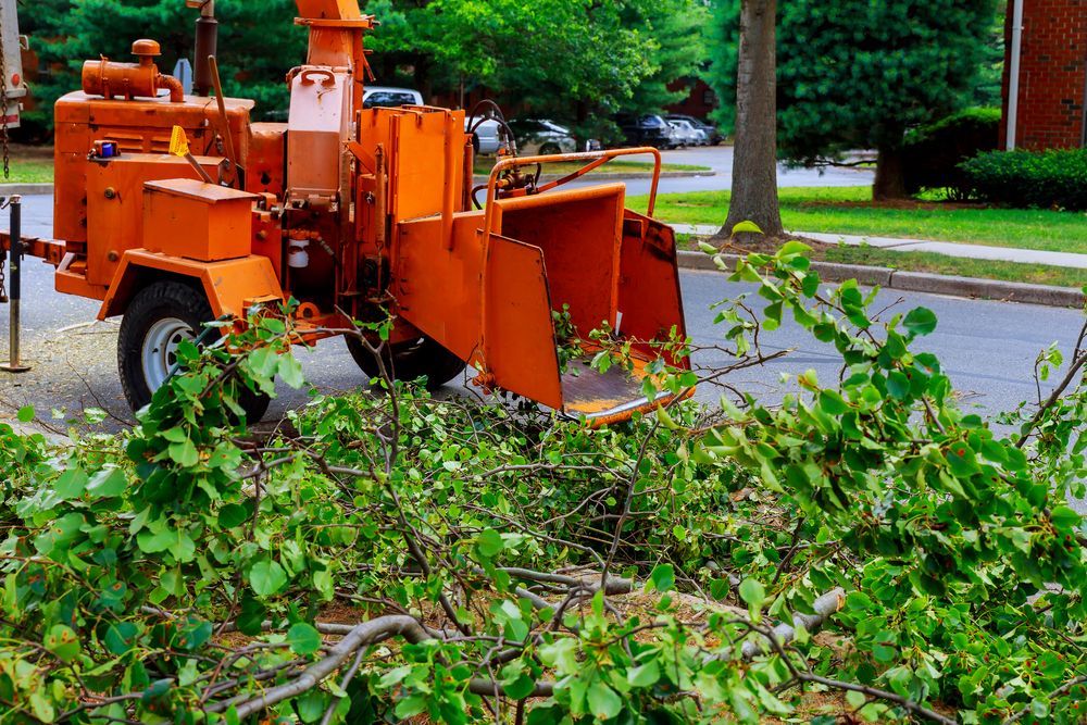 Orange Wood Chipper Processing Green Tree Branches on a Street — Ace Clearing & Mulching In Nabiac, NSW
