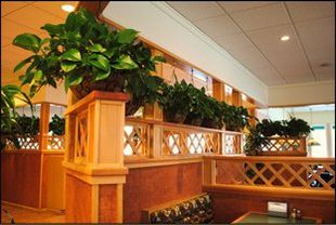 Plants Above Seating Booths