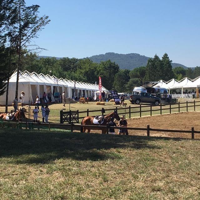 Noleggio gazebo per fiere