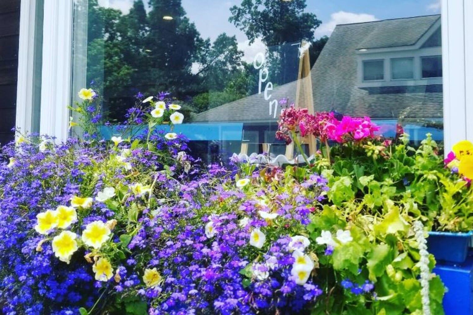 A window box filled with purple and yellow flowers.