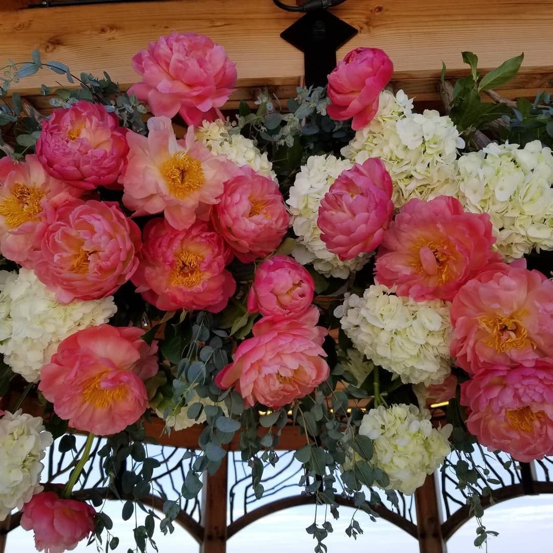 A bunch of pink and white flowers hanging from a wooden structure