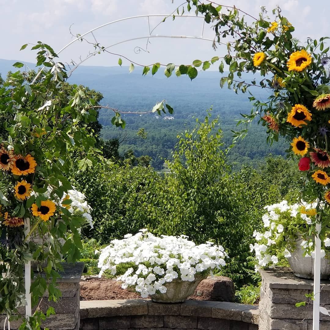 A wedding arch with sunflowers and white flowers