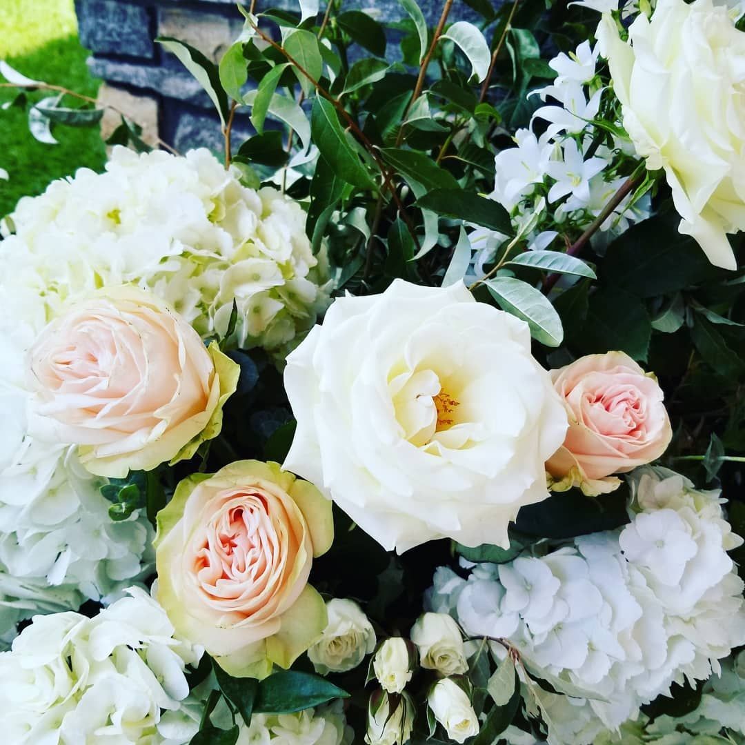A bouquet of white and pink flowers with green leaves