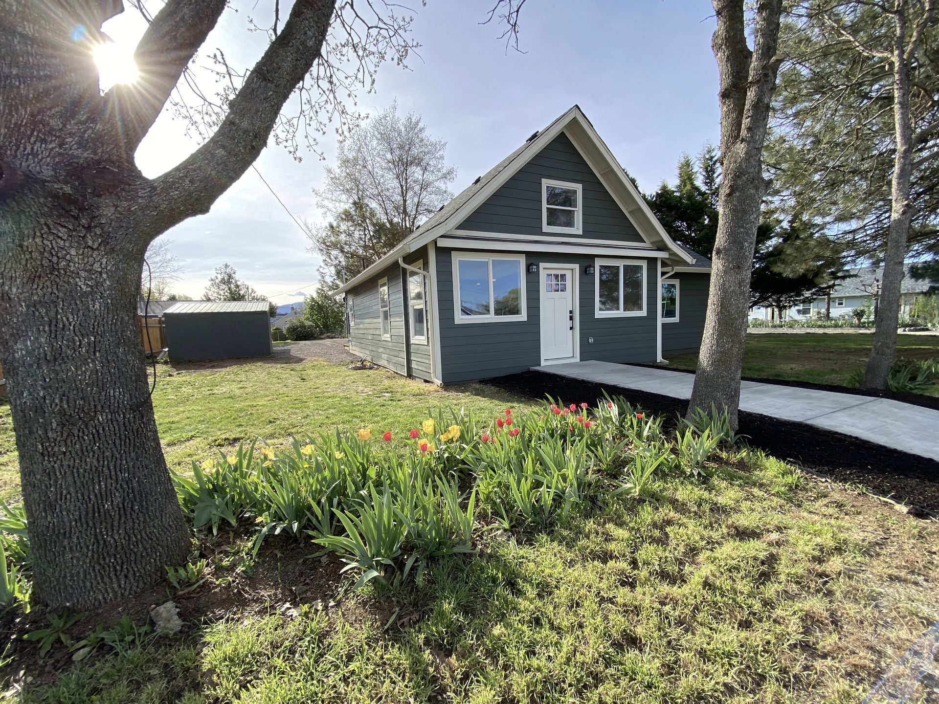 A green house with a white door and windows, with tulips in the front yard, and trees.