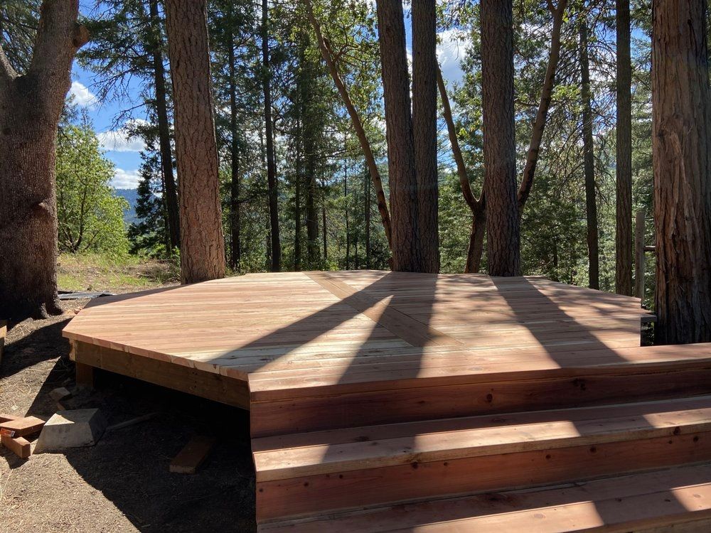 Wooden deck built around trees in a forest setting with steps leading up.