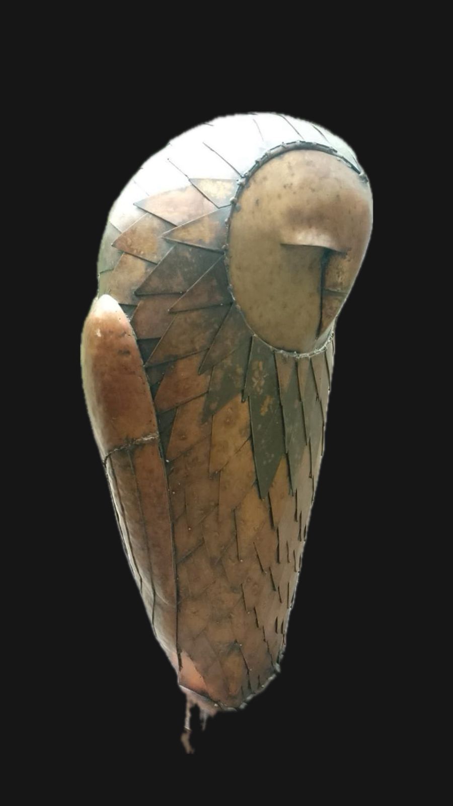 RICAPITO RICARDO ...