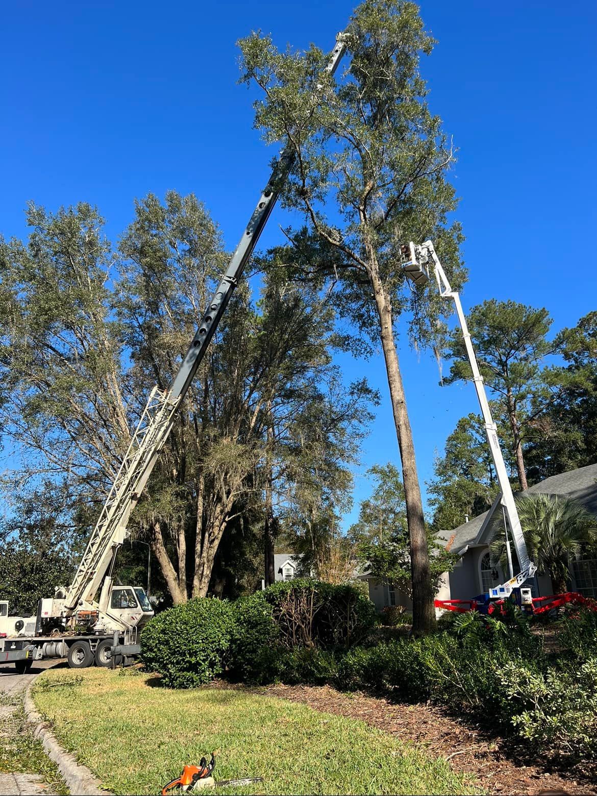 a crane is cutting a tree in front of a house .
