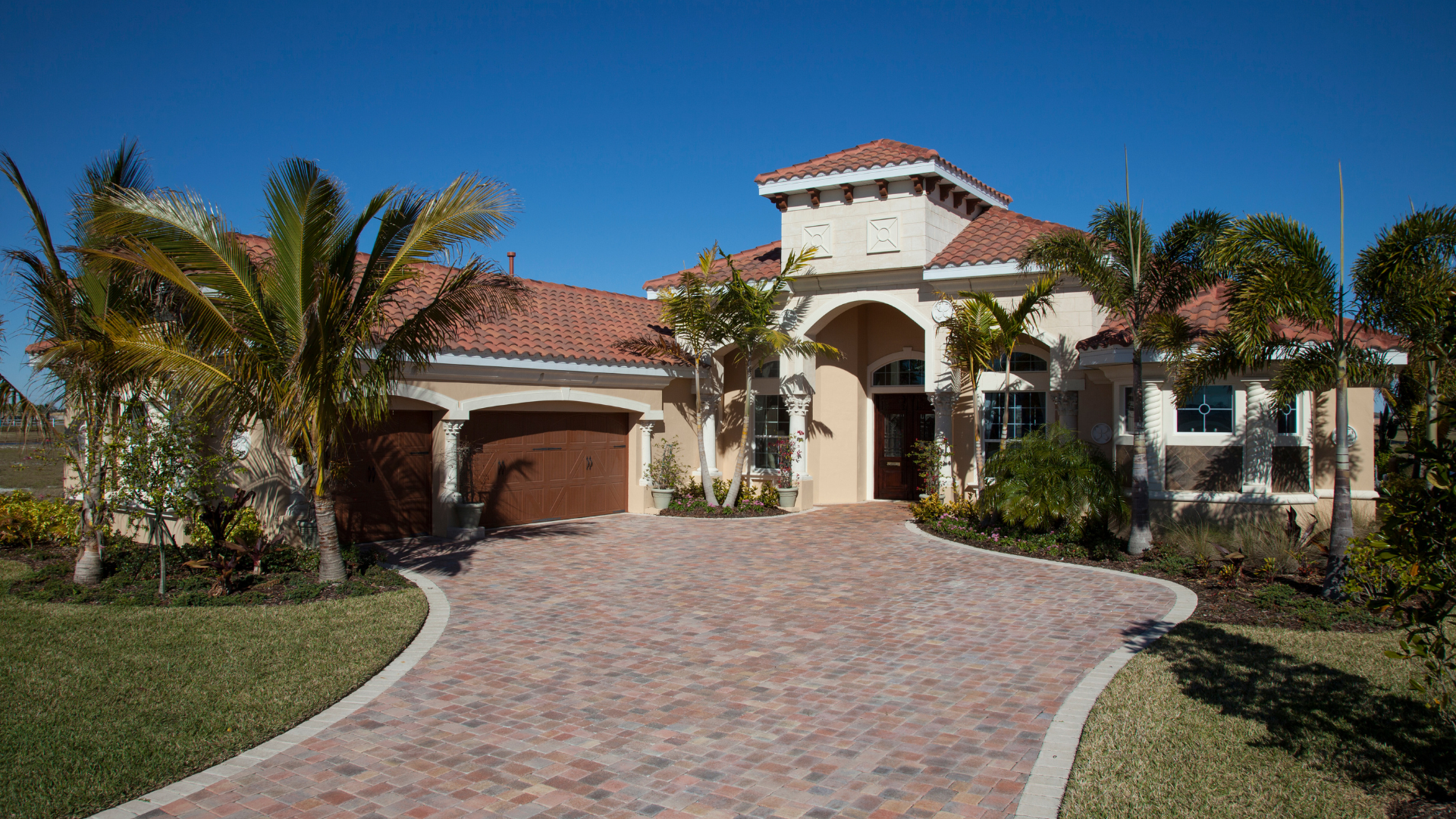 a person is climbing a tree with a chainsaw .