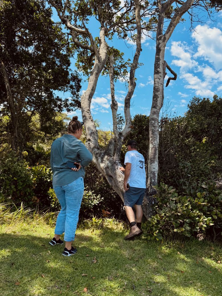 A man and a woman are standing next to a tree in a field  — Lennox Head Tree Care In Lennox Head, NSW