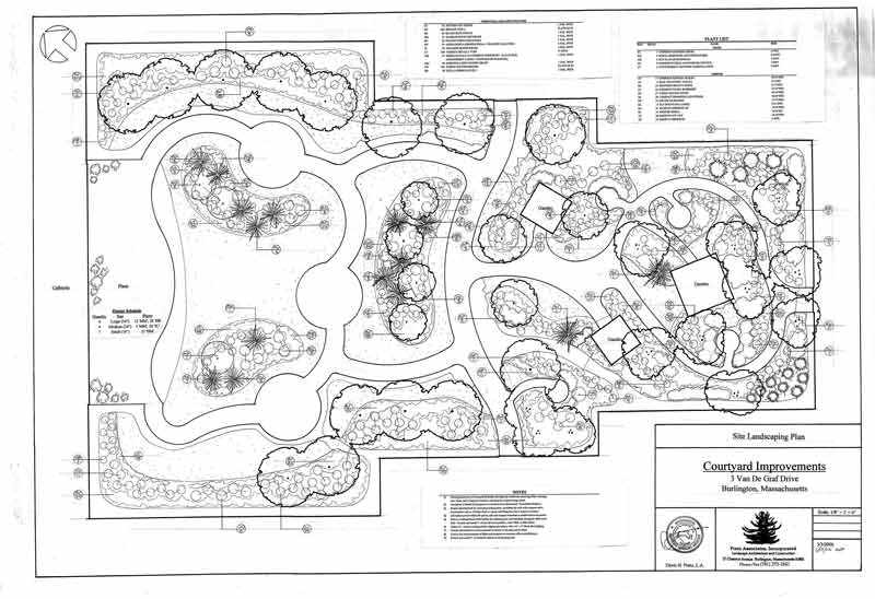 Landscape Blueprint 10 — Landscape Architecture in Burlington, MA