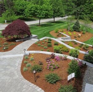 Beautiful Park Design in Burlington, MA