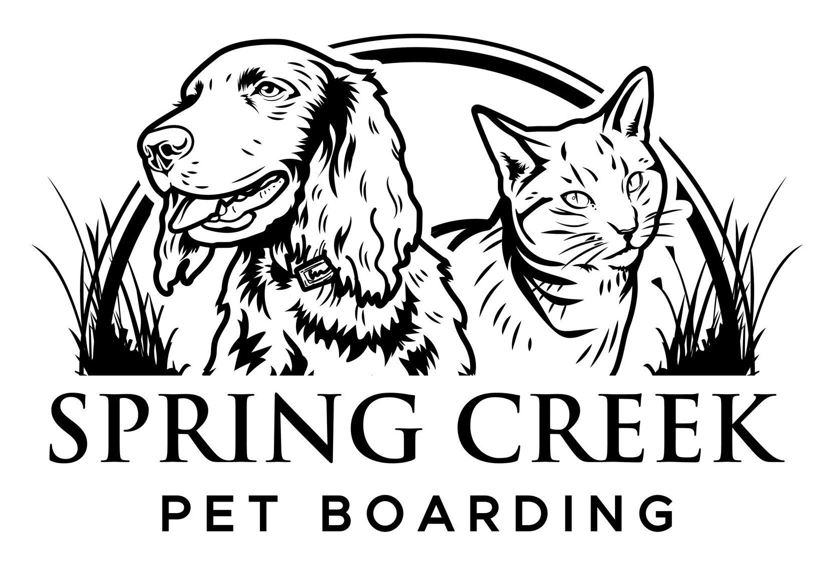 Spring Creek Boarding Kennels And Cattery: Cat & Dog Boarding in the Lockyer Valley