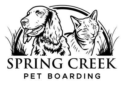 Spring Creek Boarding Kennels And Cattery: Cat & Dog Boarding in the Lockyer Valley