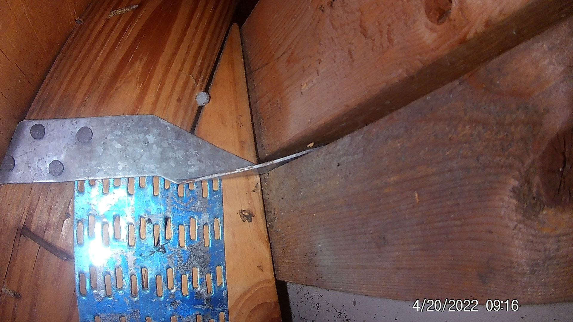 Wood Connector Inspection