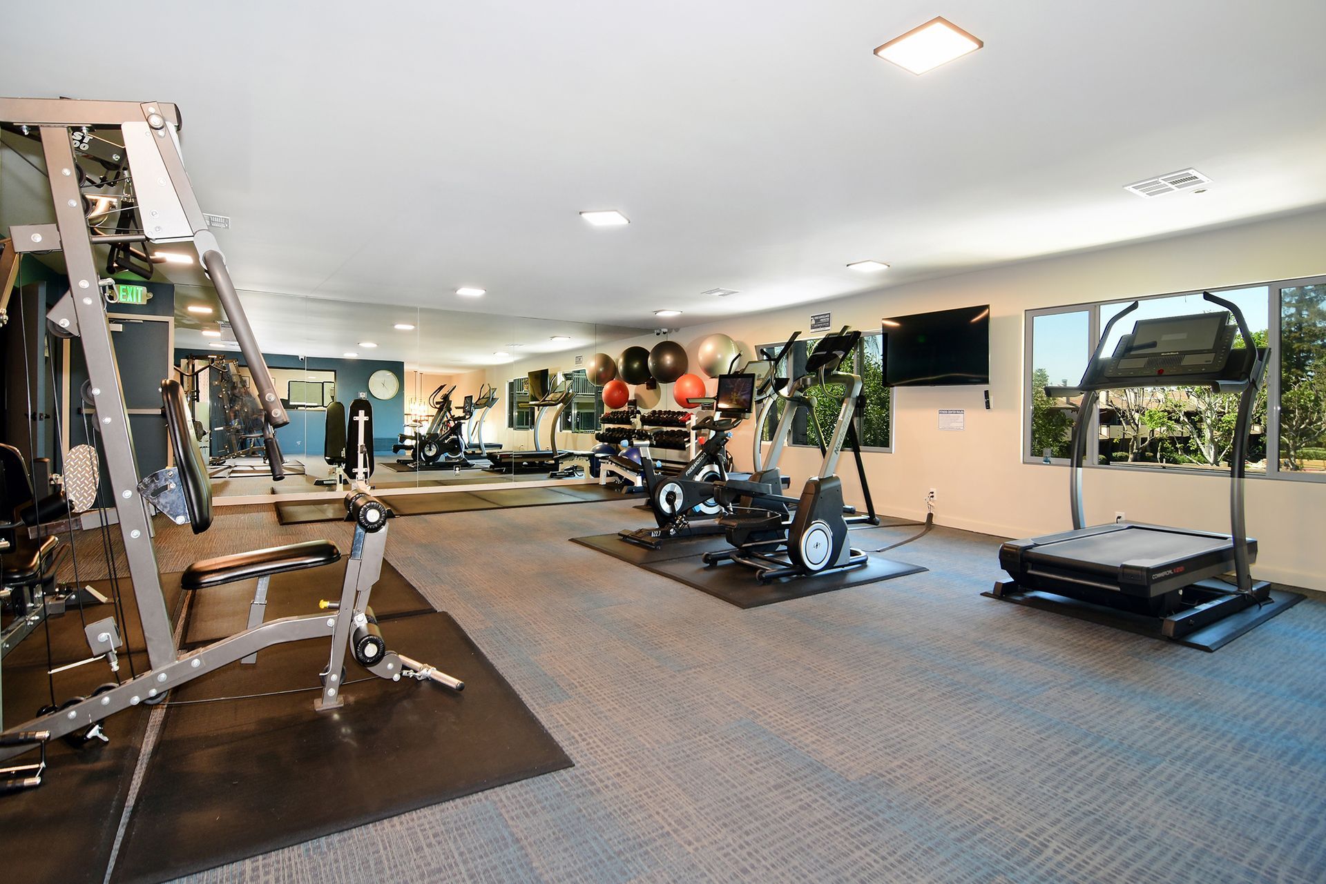 a large gym filled with lots of equipment and a treadmill .