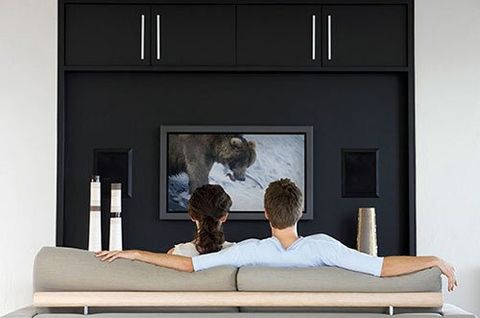 Back view of couple watching wildlife movie on television in living room  - Myers G W Electrical Contractors Inc in Kill Devil Hills, NC