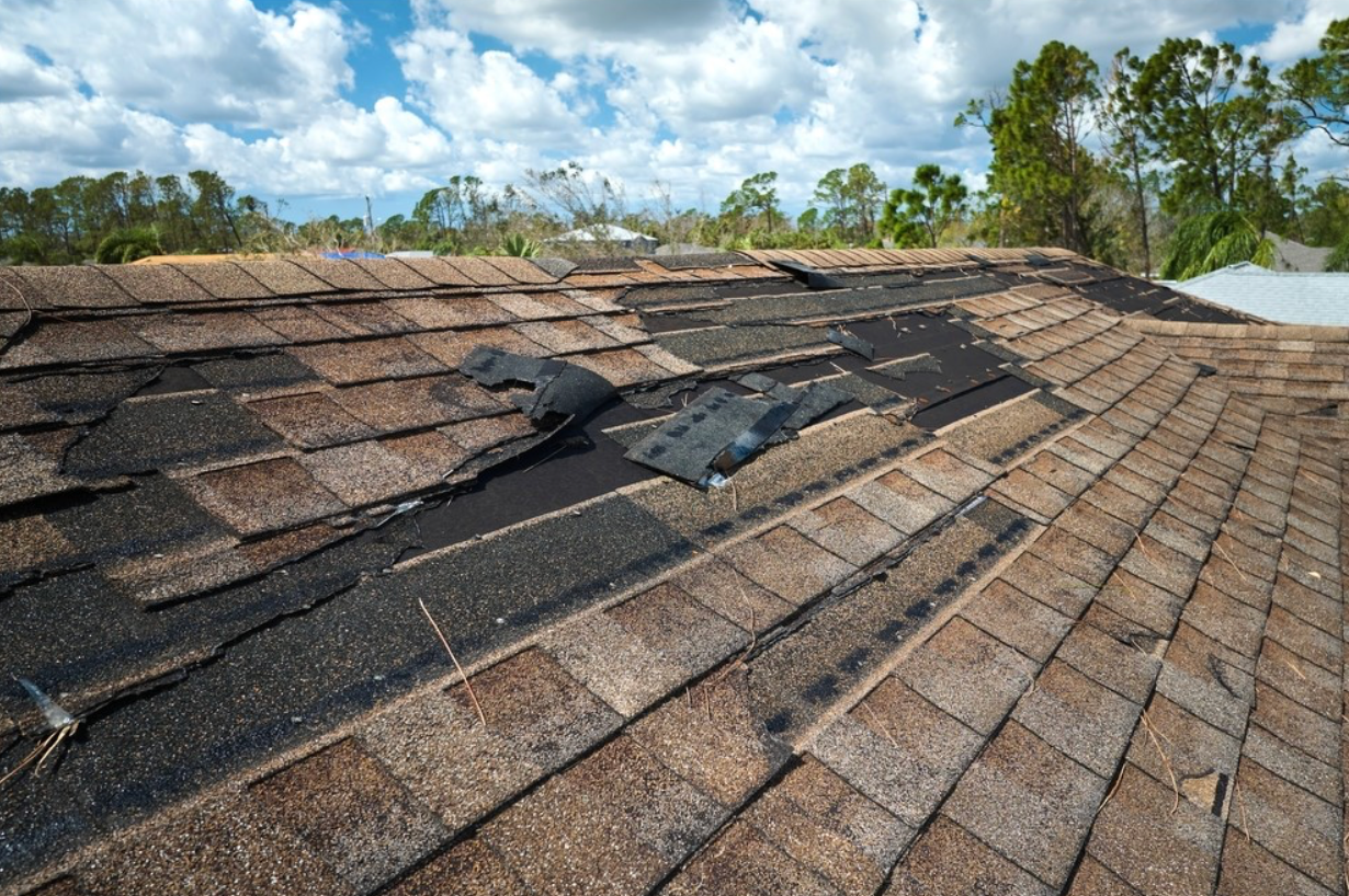 Damaged asphalt shingle roof with missing and torn areas, trees in the background, daytime.