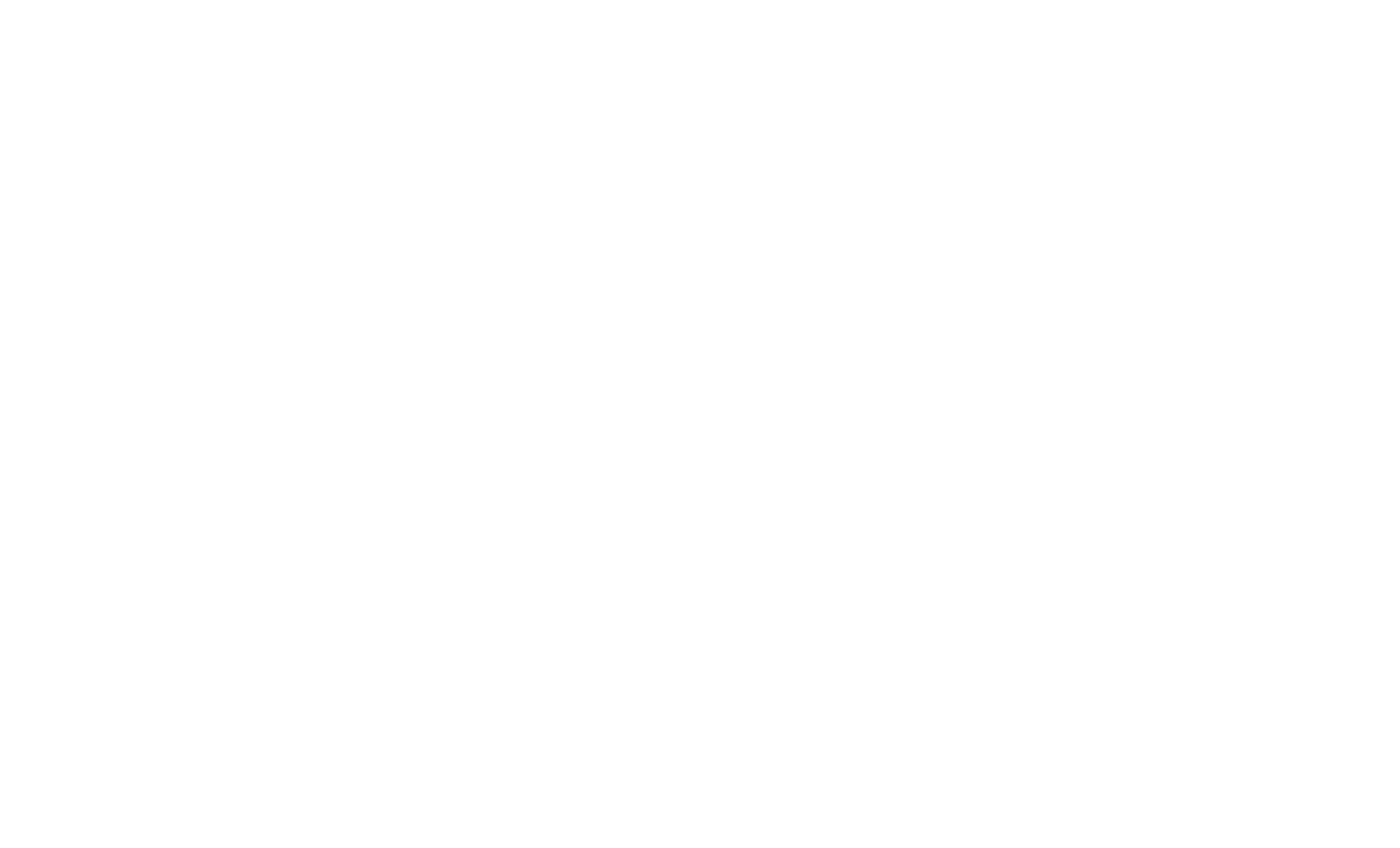 Ascent Metropolitan Naples logo.