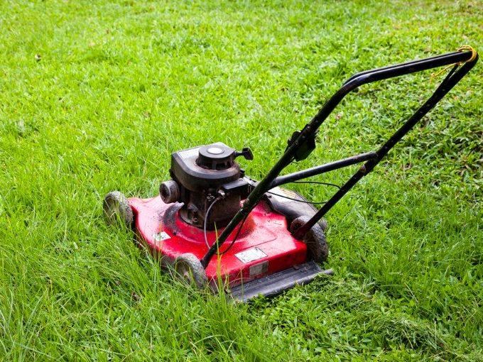 A Red Lawn Mower is Cutting a Lush Green Lawn — FarmCare In Mullumbimby, NSW