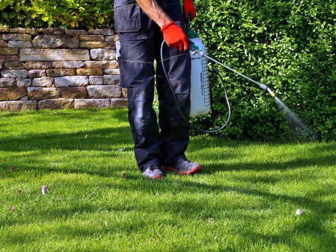 A Man is Spraying a Lawn With a Sprayer — FarmCare in Mullumbimby, NSW