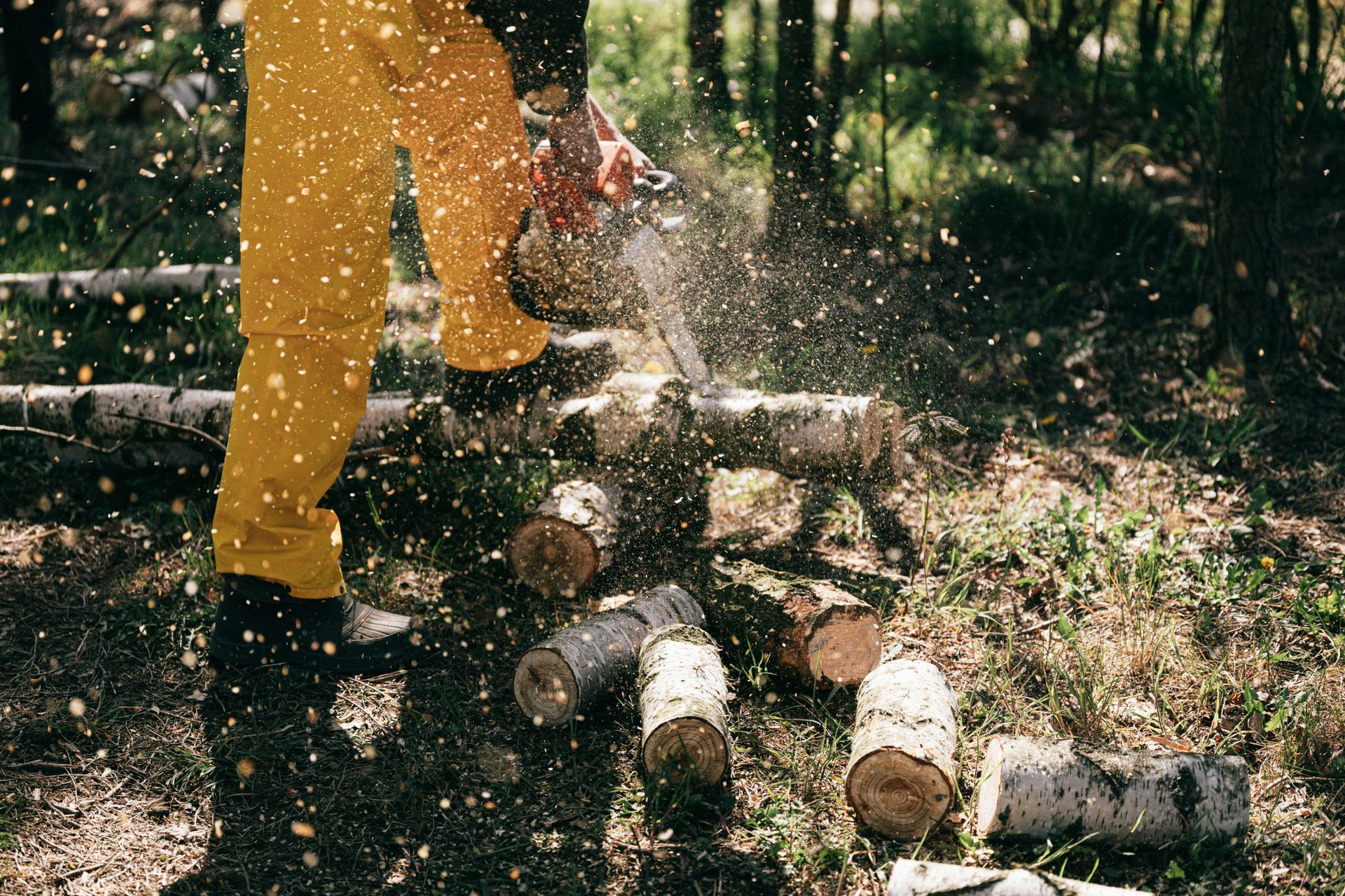 A person cuts logs with a chainsaw in a forest, surrounded by flying sawdust and fallen wood.