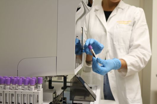 Laboratorio Analisi