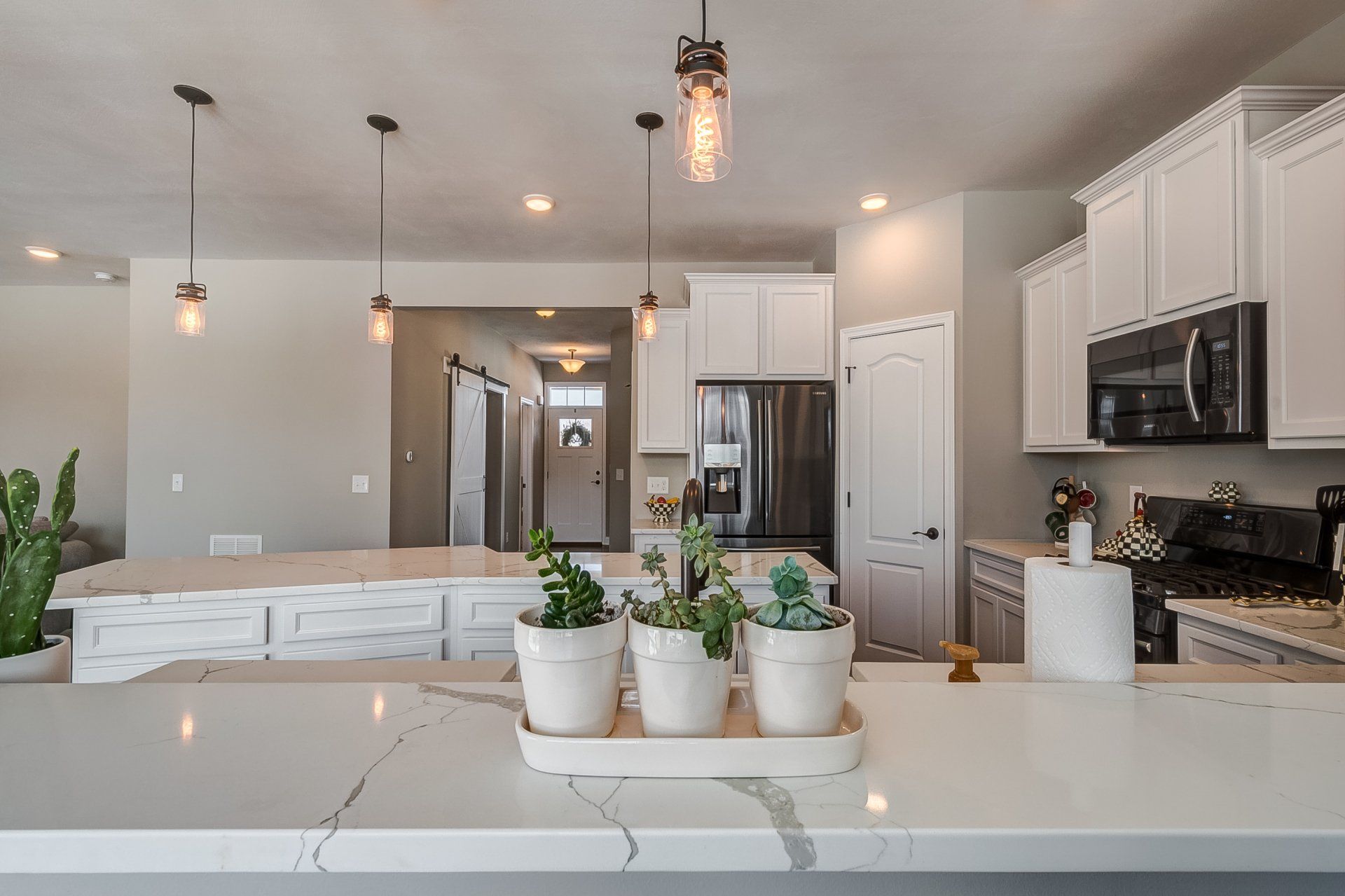 kitchen counters with plants