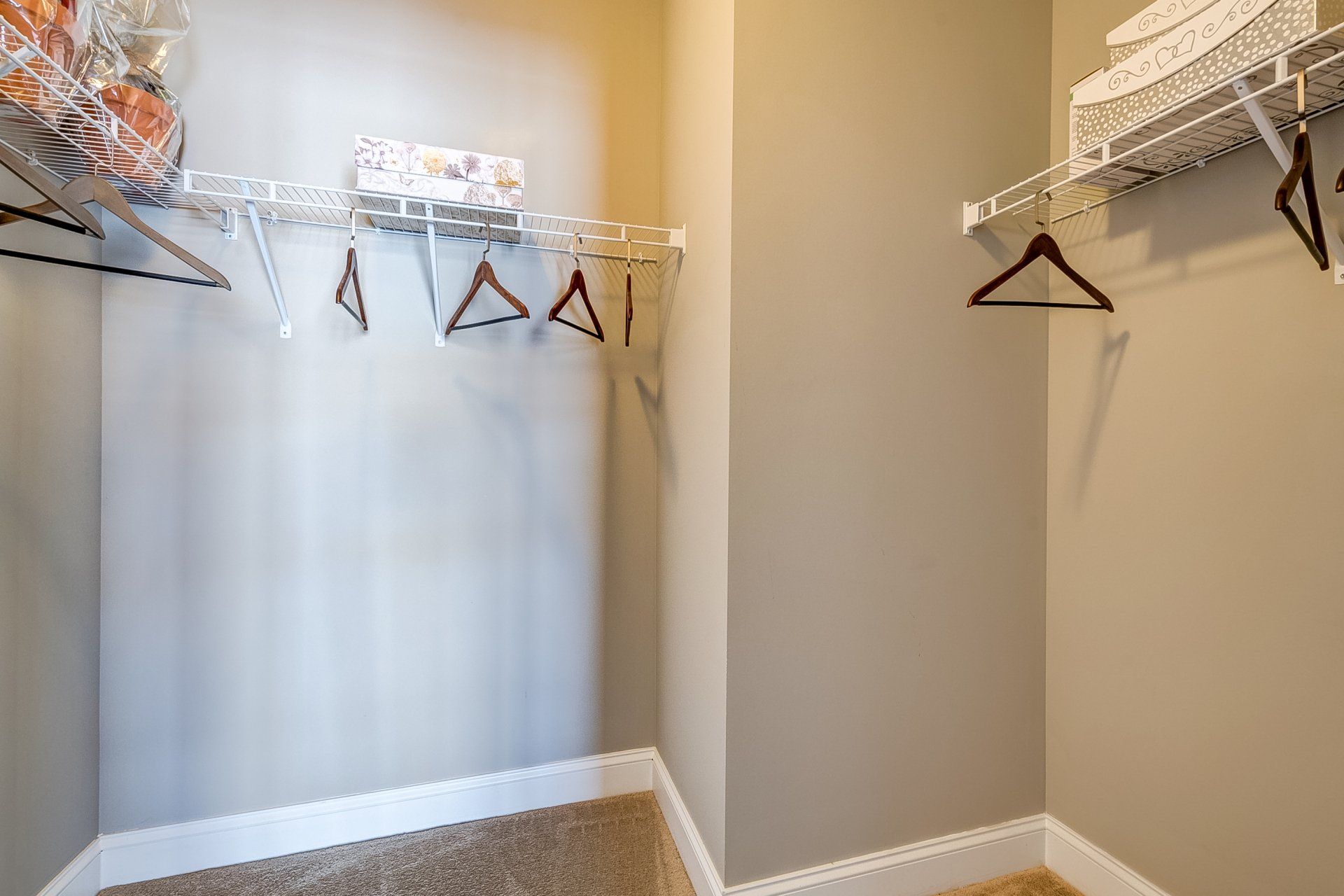 walk-in closet and wire shelves