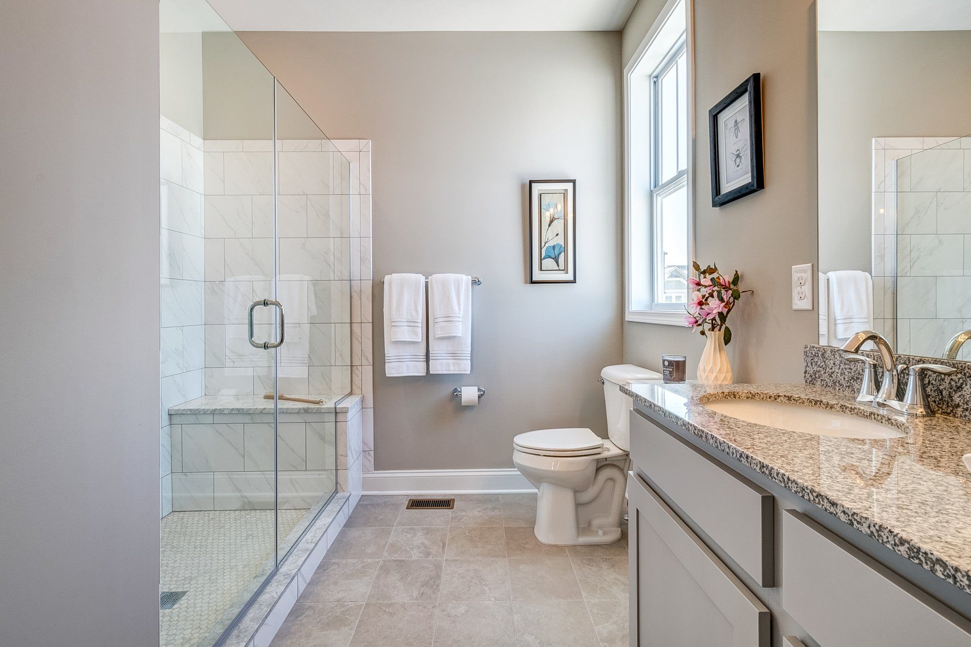 Shower, toilet and bathroom countertop