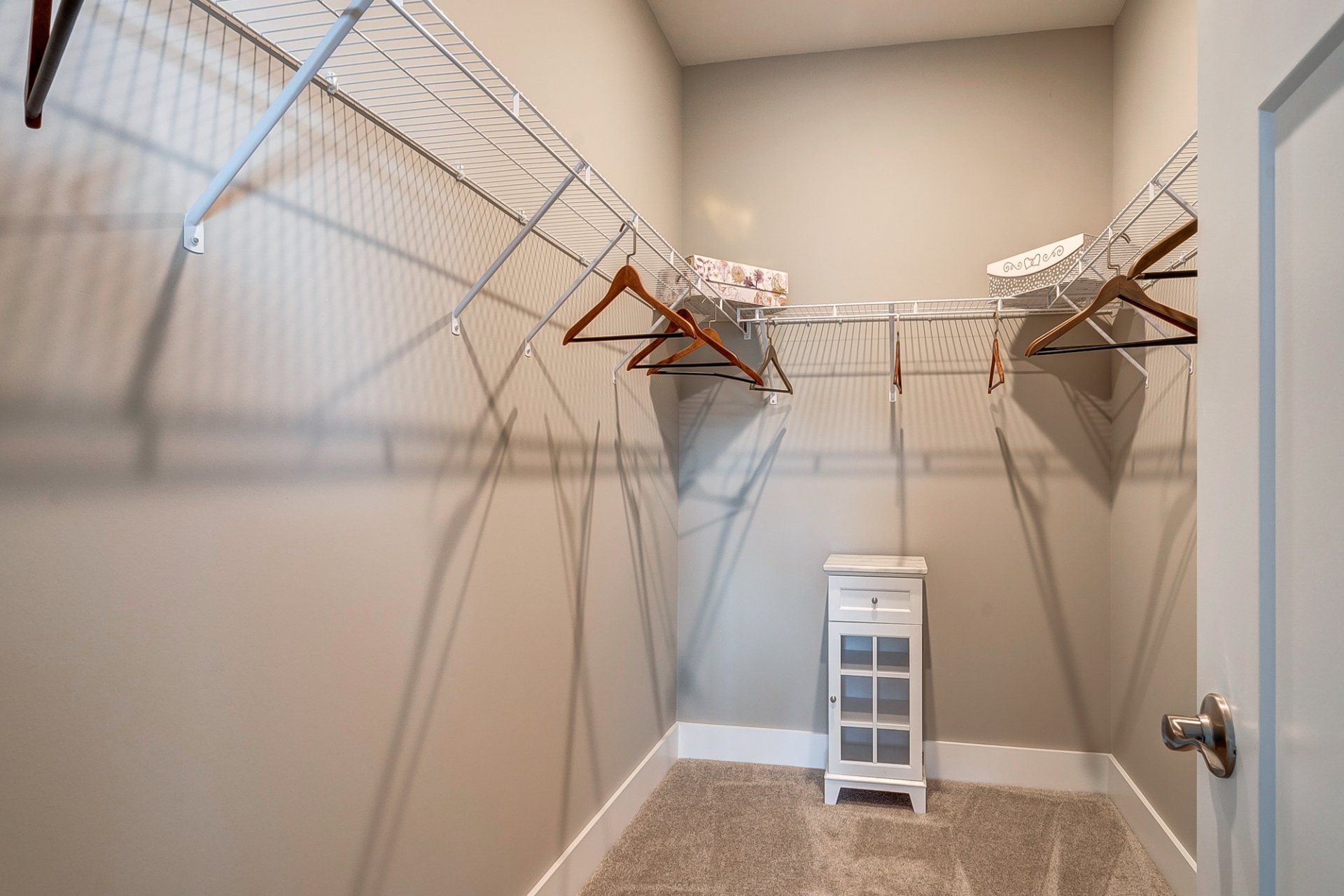 walk-in closet with wire shelves