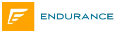 the logo for endurance is orange and blue
