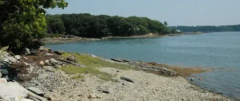 A rocky beach next to a body of water with trees in the background.