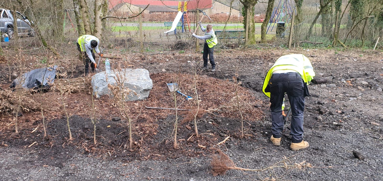 Aberbeeg tree planting – over 350 native species trees planted in very difficult ground and weather conditions: