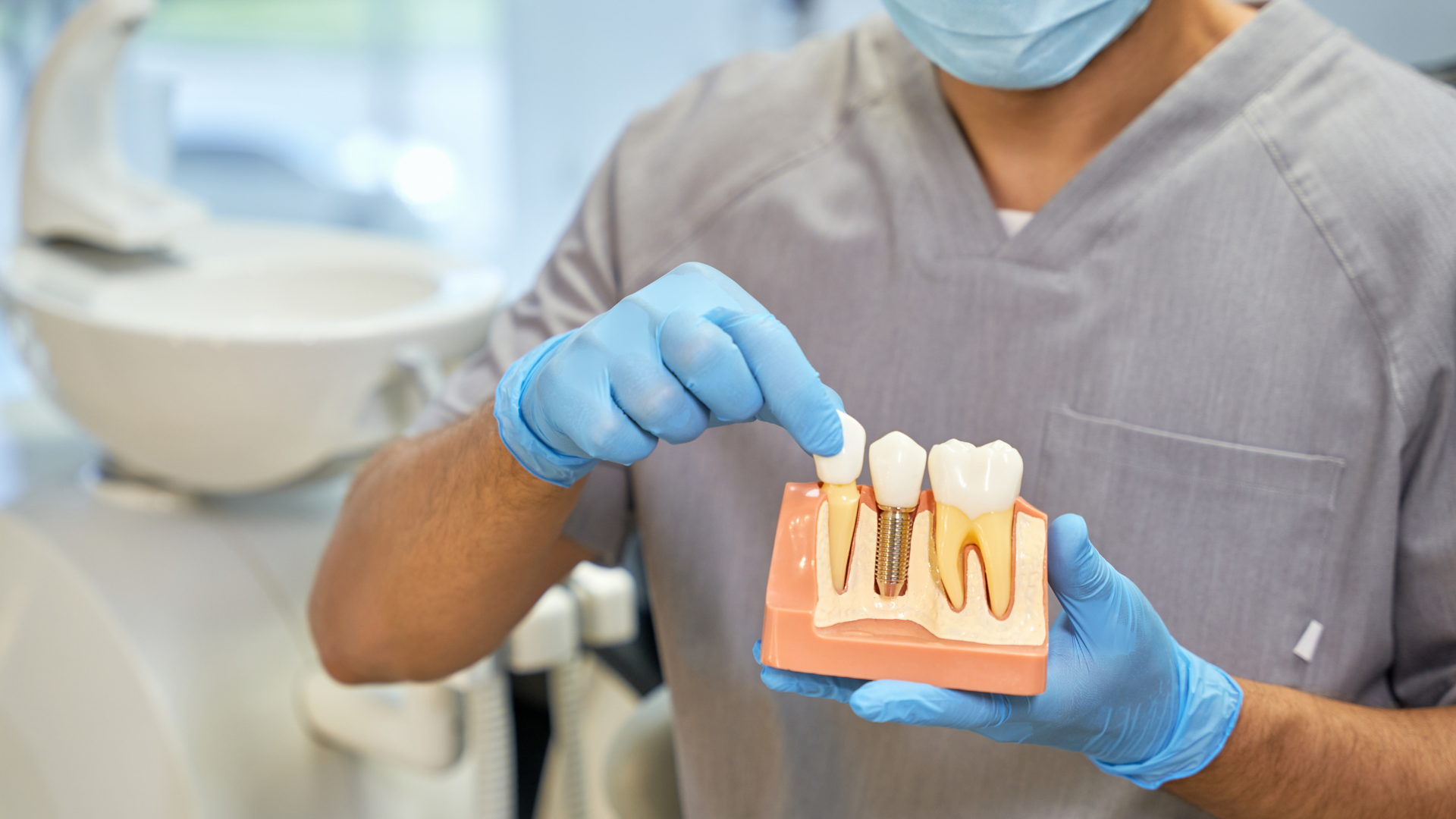 a dentist is holding a model of teeth with a dental implant .