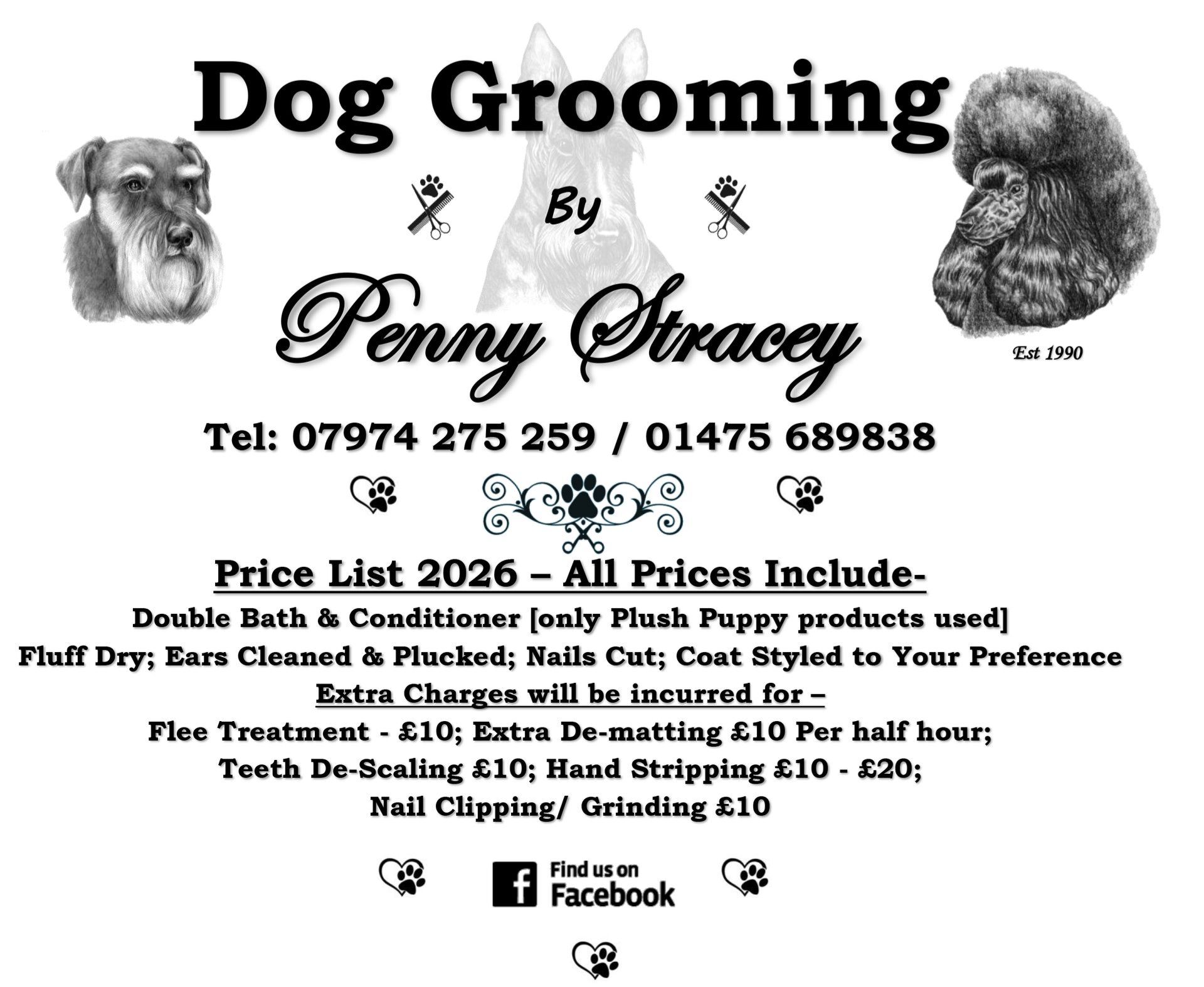 Dog Grooming by Penny Stracey