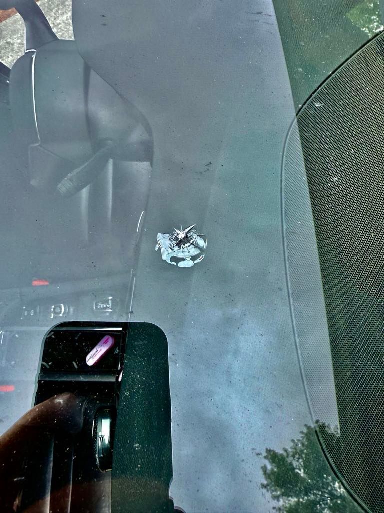 Before Rock Chip Repair in Santa Rosa, CA