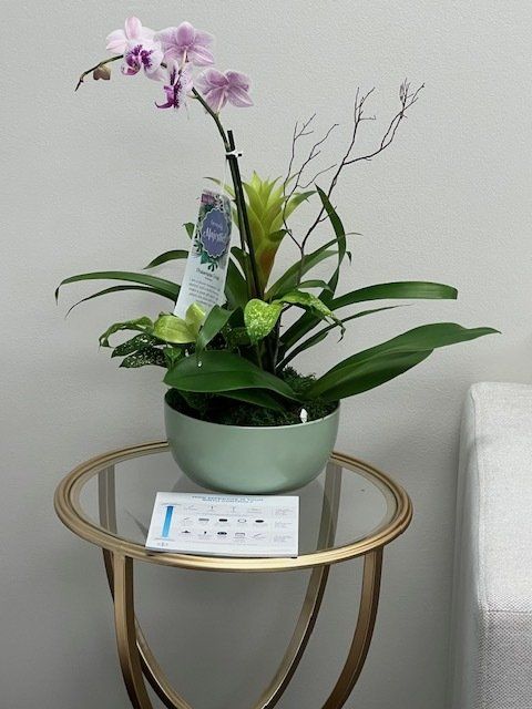 Southern Charm Women’s Health