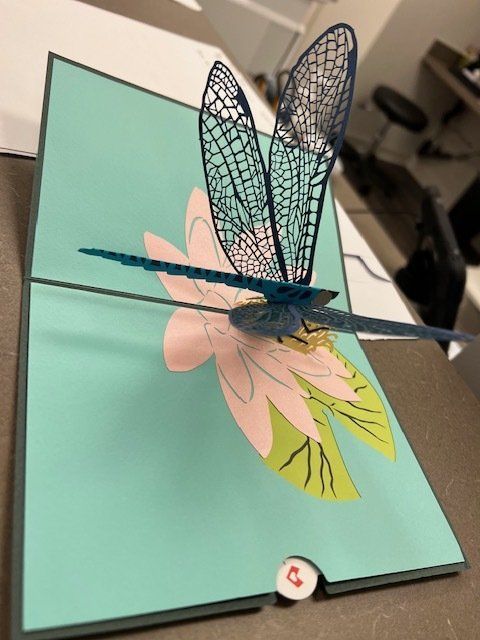 Southern Charm Women’s Health