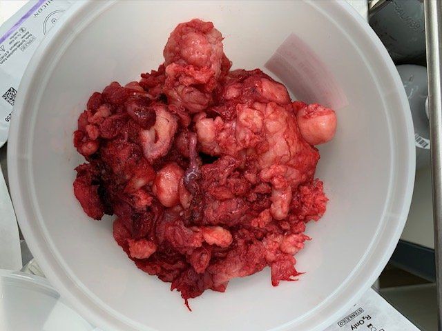 Southern Charm Women’s Health