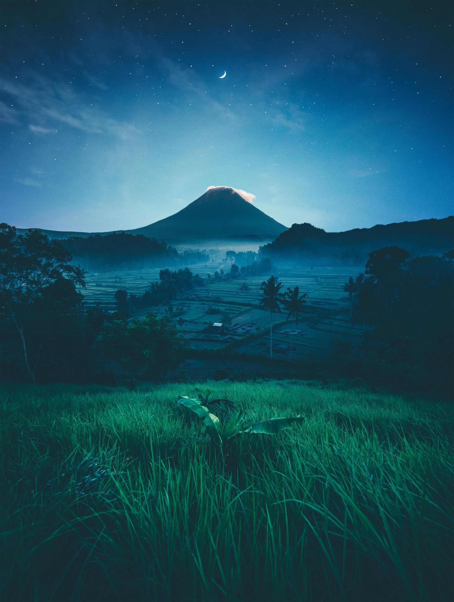 There is a mountain in the background and a field in the foreground.